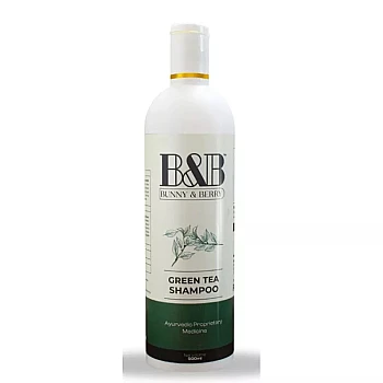 B&B Green Tea Shampoo with Conditioner (500ml)