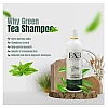 B&B Green Tea Shampoo with Conditioner (500ml)