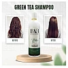 B&B Green Tea Shampoo with Conditioner (500ml)