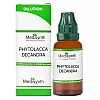 Medisynth Phytolacca Decandra 200 CH (30ml)