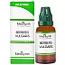 Medisynth Berberis Vulgaris 200 CH (30ml)
