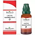 Medisynth Cactus Grandiflorus 1X (Q) (30ml)
