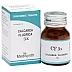 Medisynth Calcarea Fluorica 3X (25g)