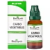 Medisynth Carbo Vegetabilis 200 CH (30ml)