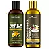 Park Daniel 100% Natural Arnica Herbal Hair Oil + Onion Ginger Shampoo Combo (100ml Each) (1Pack)