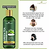 Park Daniel 100% Natural Jaborandi Herbal Hair Oil + Green Tea Shampoo Combo (100ml Each) (1Pack)
