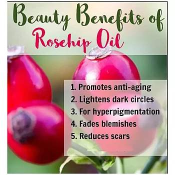 Park Daniel Premium Rosehip Oil (100ml, Pack of 3)