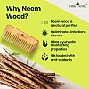Park Daniel Natural & Ecofriendly Handmade Medium Detangler Neem Wooden Comb (1pcs)