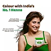 Habibs Henna Mehndi Powder (200g)