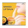 Park Daniel Lip Balm With Mango Extract (15g)