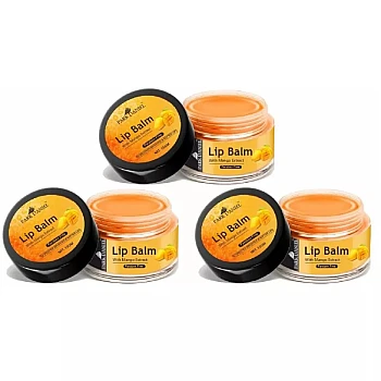 Park Daniel Lip Balm With Mango Extract (15g, Pack of 3)