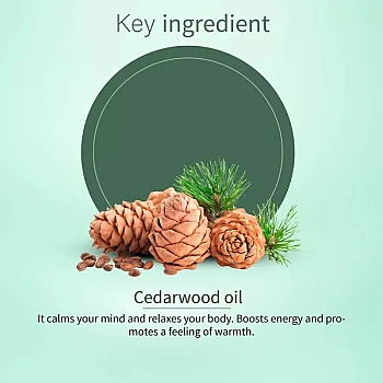Ayouthveda Essentials Cedarwood Oil (15ml)