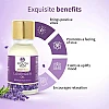 Ayouthveda Essentials Lavender Oil (15ml)