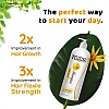 Habibs Hair Shampoo With Arnica (1liter)