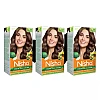 Nisha Creme Hair Color 3.5 Chocolate Brown (Developer 60ml + Colorant Tube 60gm + Conditioner 6ml + Glove) (1Pack, Pack of 3)