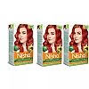 Nisha Creme Hair Color 5.64 Copper Red (Developer 60ml + Colorant Tube 60gm + Conditioner 6ml + Glove) (1Pack, Pack of 3)