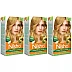 Nisha Creme Hair Color 8.1 Golden Blonde (Developer 60ml + Colorant Tube 60gm + Conditioner 6ml + Glove) (1Pack, Pack of 3)
