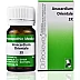 Dr Reckeweg Anacardium Orientale 3X (20g)