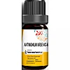 Pioneer Antimonium Arsenic (Multidose) 6 CH (150Pills)
