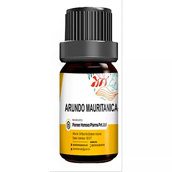 Pioneer Arundo Mauritanica (Multidose) 6 CH (150Pills)
