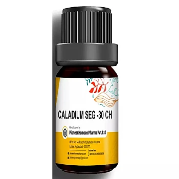 Pioneer Caladium Seg (Multidose) 30 CH (150Pills)