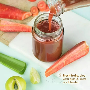 Nat Habit Fresh Whipped All-Day Malai Face Cream Flax Carrot Vit-EC Omega+ (30g)