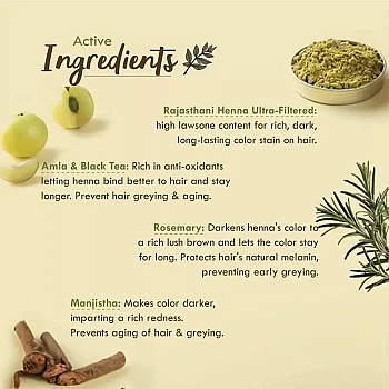 Nat Habit Ready-To-Apply Henna Paste (220g)