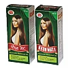 Wings Biotech Keshmate Ayurvedic Hair Oil (100ml, Pack of 2)