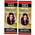 New Shama Roghan Amla (200ml, Pack of 2)