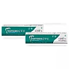 Adven Homoeoshine Toothpaste Gel (100g, Pack of 2)