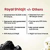 Cipzer Royal Shilajit (20g)