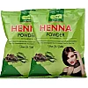 Bakson Sunny Arnica Henna Powder (200g, Pack of 2)