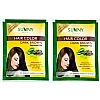 Bakson Sunny Hair Color (Dark Brown) (20g, Pack of 2)