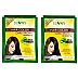 Bakson Sunny Hair Color (Dark Brown) (20g, Pack of 2)