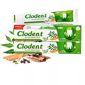 HAPDCO Clodent Neem Dental Cream (100g, Pack of 2)