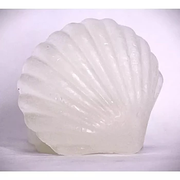 Bhimseni Handmade Soap Manthol & Camphor (500g)