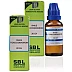 SBL Rhus Toxicodendron 30 CH (30ml, Pack of 2)