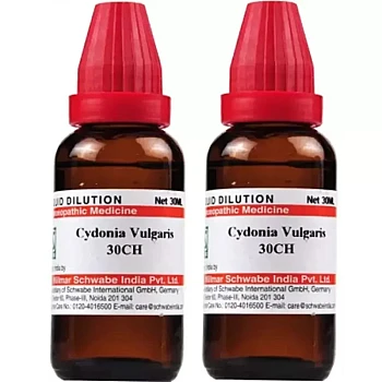 Willmar Schwabe India Cydonia Vulgaris 30 CH (30ml, Pack of 2)