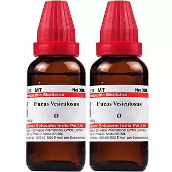 Willmar Schwabe India Fucus Vesiculosus 1X (Q) (30ml, Pack of 2)