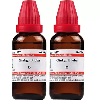 Willmar Schwabe India Ginkgo Biloba 1X (Q) (30ml, Pack of 2)