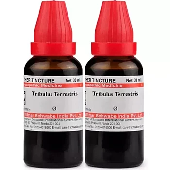 Willmar Schwabe India Tribulus Terrestris 1X (Q) (30ml, Pack of 2)