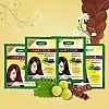 Bakson Sunny Hair Color (Dark Brown) (20g)