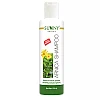Bakson Sunny Arnica Shampoo (150ml)