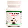 Bakson Phytolacca Berry Tablets (75tab)