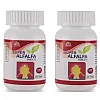 Wheezal Super Alfalfa Tablets (250tab, Pack of 2)