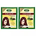 Bakson Sunny Hair Color (Burgundy) (20g, Pack of 2)