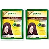 Bakson Sunny Hair Color (Light Brown) (20g, Pack of 2)