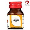 BJain Baptisia Tinctoria 3X (25g, Pack of 2)