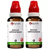 BJain Aesculus Hippocastanum 1X (Q) (30ml, Pack of 2)