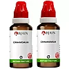 BJain Cinnamomum 1X (Q) (30ml, Pack of 2)